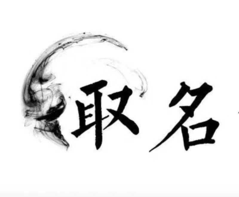  孝南宝宝取名 大师一对一人工起名